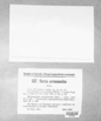 Harzia acremonioides image